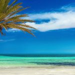 The Ultimate Cheat Sheet on Travel