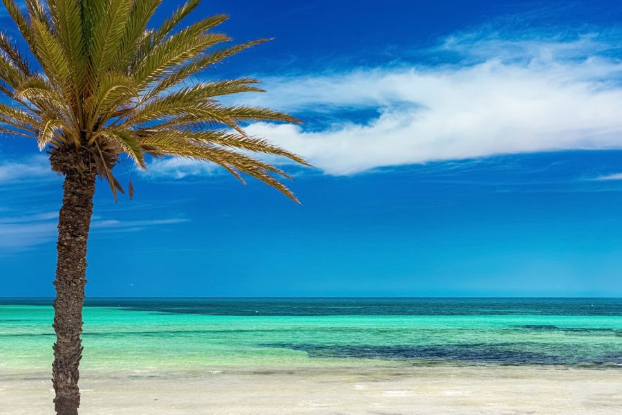 Desert and Sea Splendor: 8-Day Tunisia Tour
