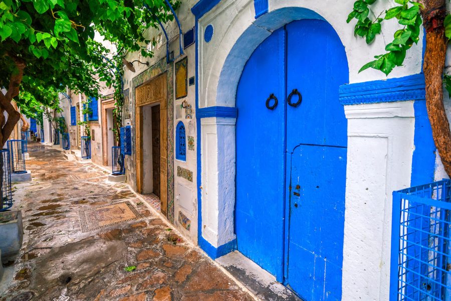 14-Day Tunisia Tour: The Immersive Xperience