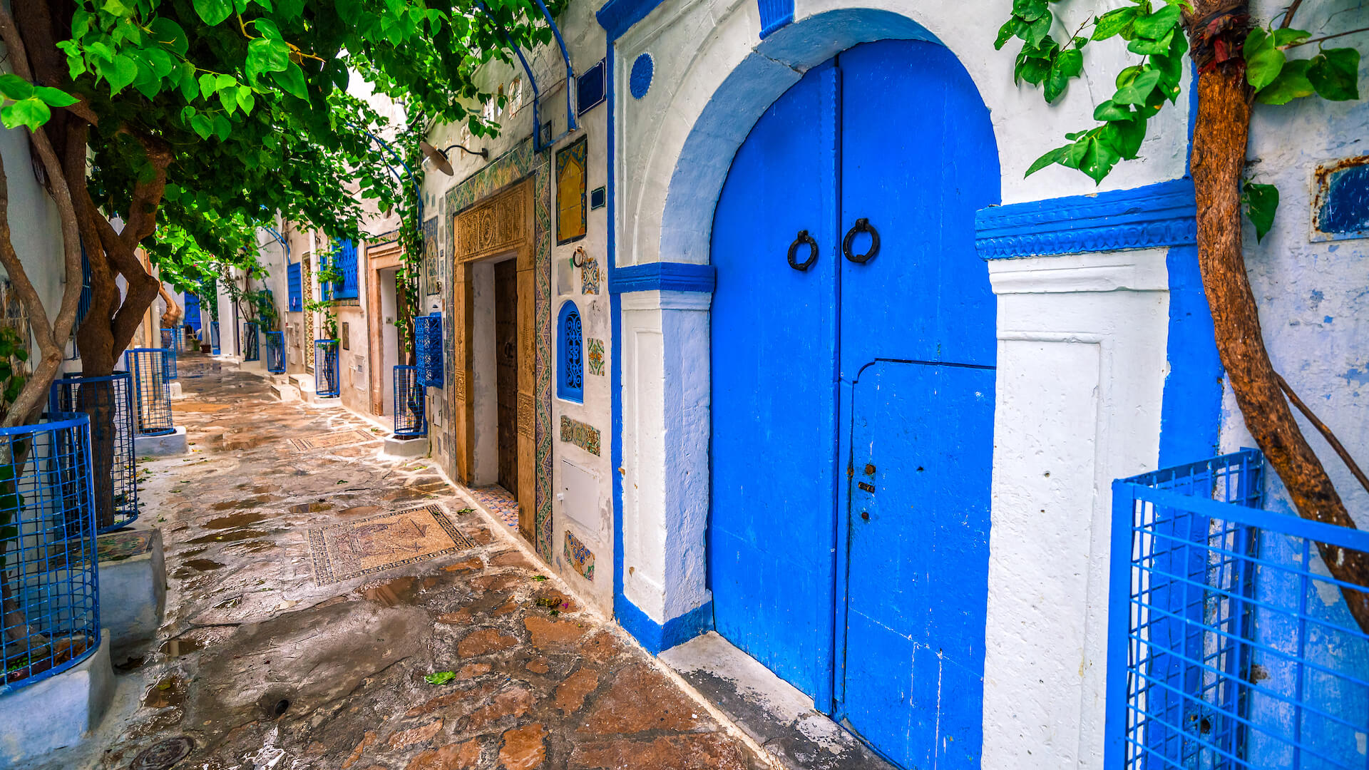 Amazing Tunisia: Private 7-Day Tunisia Tour